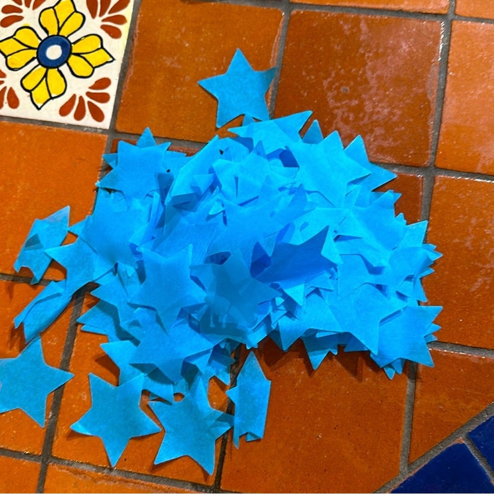 Confetti from 1989 Taylor’s Version Album Official Taylor Swift Merch Purchase